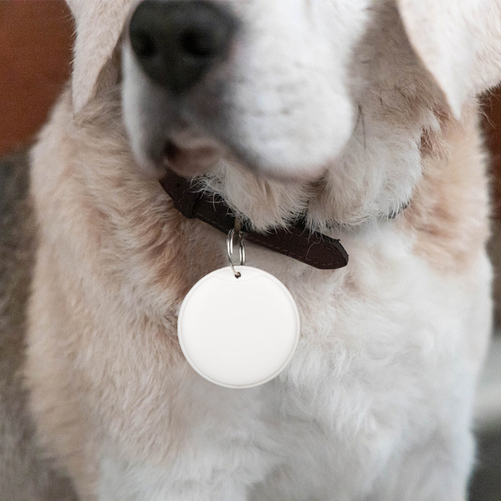 PawTrack Pro