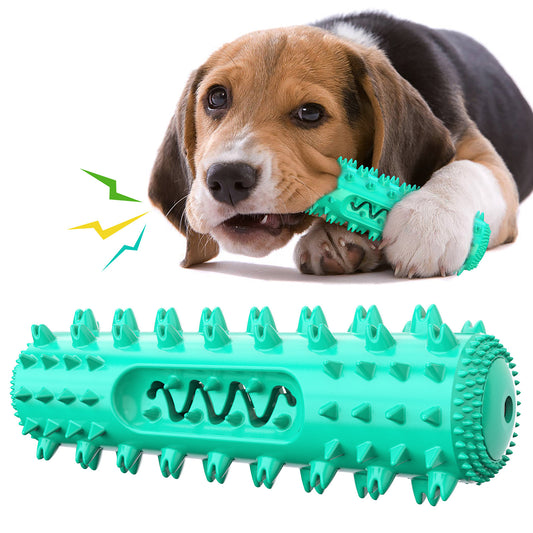 ChewClean PlayStick
