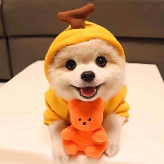 Cutie Paws Hoodie