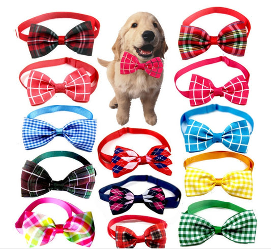 Dapper Paws Tie