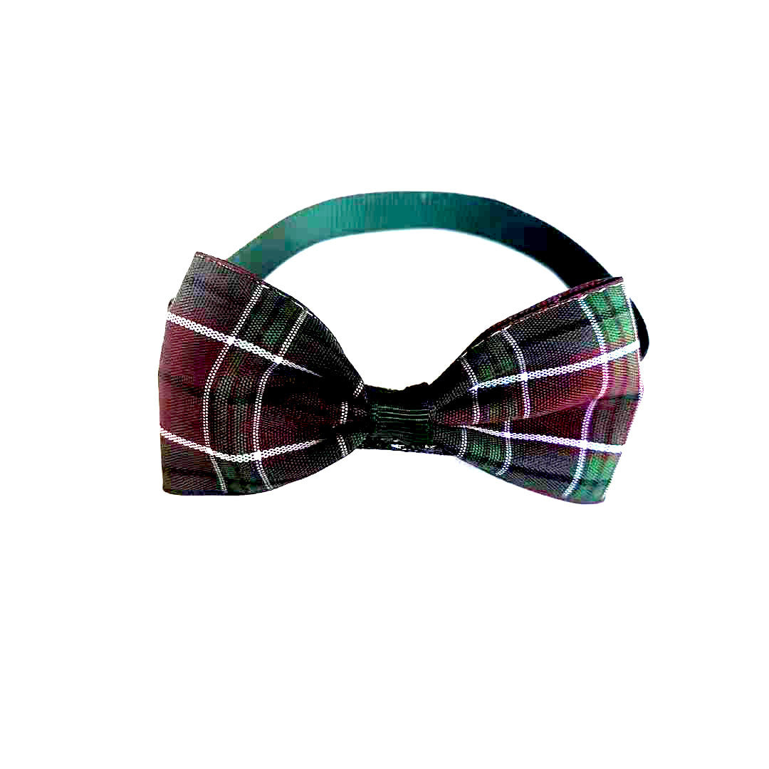 Dapper Paws Tie